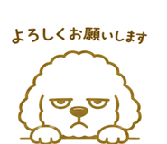 846035652