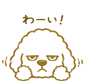 846035653
