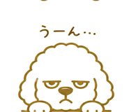 846035654