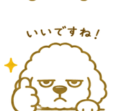 846035656