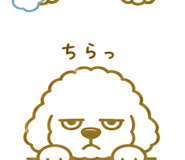 846035660