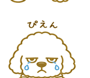 846035662