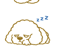 846035666
