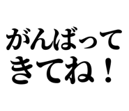 846036088