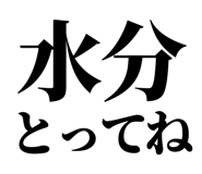 846036243