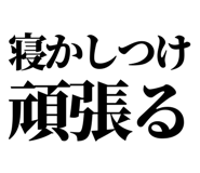 846036558