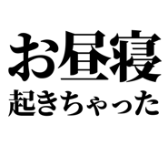 846036560