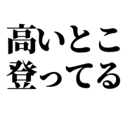 846036572