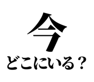 846036575