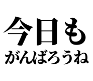846036617