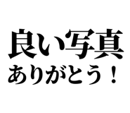 846036935