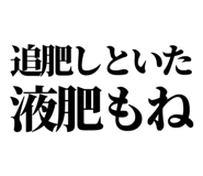 846036939