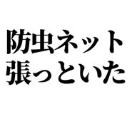 846036942
