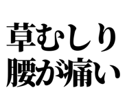 846036943