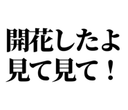 846036946