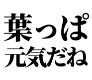 846036951