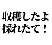 846036953