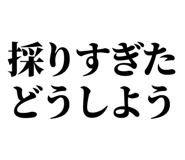 846036955