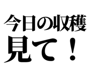 846036957