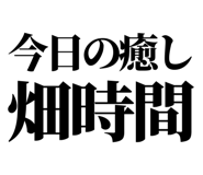 846036972