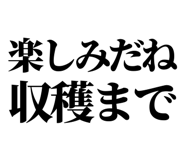 846036975