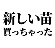 846036976
