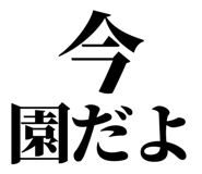 846037236