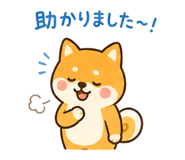 846037948
