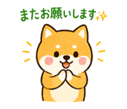 846037962