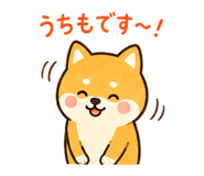 846037966