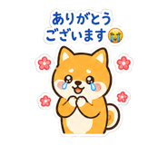 846037980
