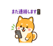 846037983