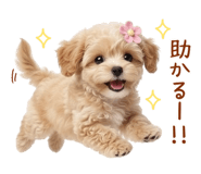 846038148