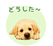 846038698