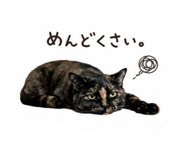 846041722