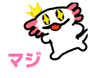846041925
