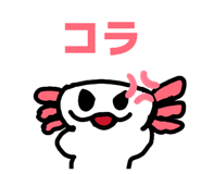 846041936