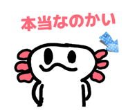 846041945
