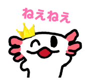 846041946