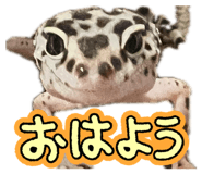 846042041