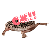 846042043