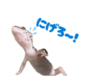 846042044