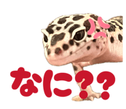 846042045