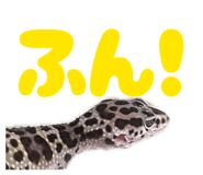 846042047