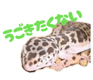 846042048
