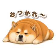 846043130