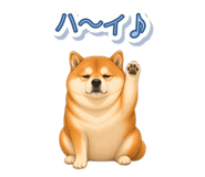846043133