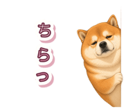 846043138