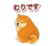 846043142