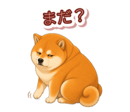 846043144